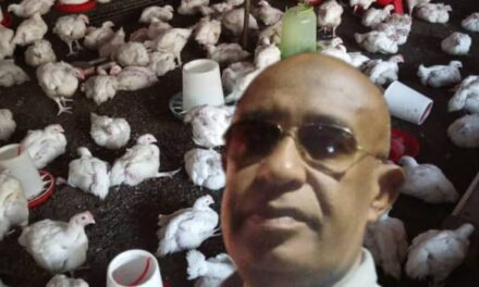 Anjouan Aviculture : Nanay Ali Chéri facilite vos menus Bio